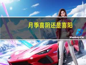 月季喜阴还是喜阳