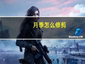 月季怎么修剪