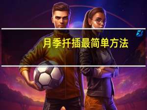 月季扦插最简单方法