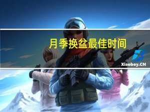 月季换盆最佳时间