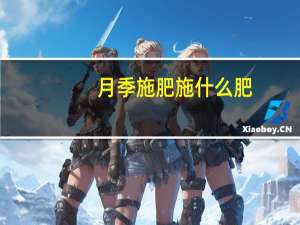 月季施肥施什么肥