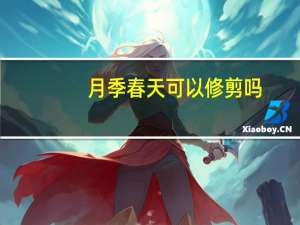 月季春天可以修剪吗