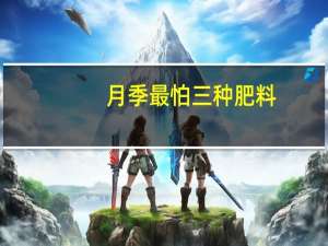 月季最怕三种肥料