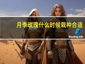 月季玫瑰什么时候栽种合适