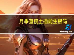 月季直接土插能生根吗