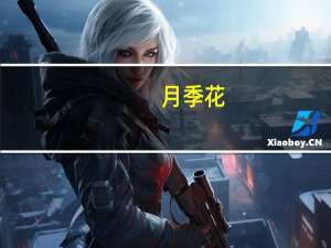 月季花（关于月季花的介绍）