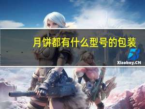 月饼都有什么型号的包装