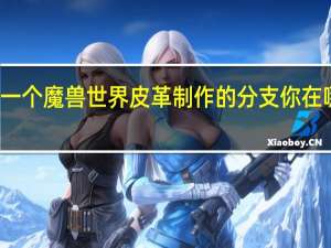 有一个魔兽世界皮革制作的分支你在哪里学的？
