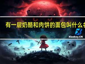 有一层奶酪和肉饼的面包叫什么名字？