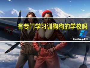 有专门学习训狗狗的学校吗