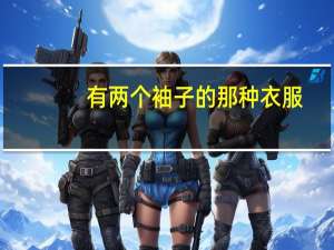 有两个袖子的那种衣服，叫什么衣服