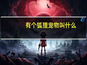 有个狐狸宠物叫什么