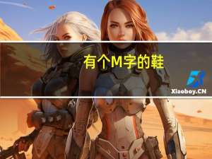 有个M字的鞋，是什么牌子
