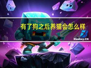 有了狗之后养猫会怎么样