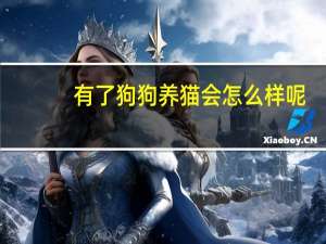 有了狗狗养猫会怎么样呢