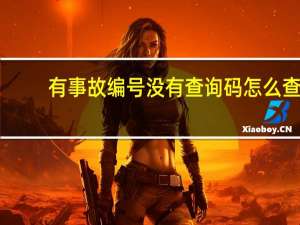 有事故编号没有查询码怎么查
