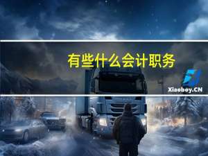有些什么会计职务