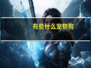 有些什么宠物狗