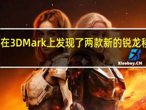 有人在3DMark上发现了两款新的锐龙移动处理器