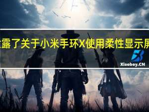 有人泄露了关于小米手环X使用柔性显示屏的会议图片