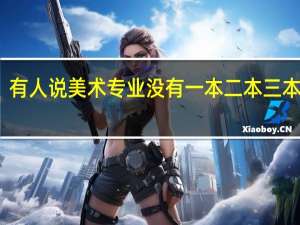 有人说美术专业没有一本二本三本之分，是啥意思啊