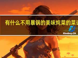 有什么不用暴锅的美味炖菜的菜谱吗