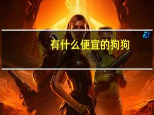 有什么便宜的狗狗