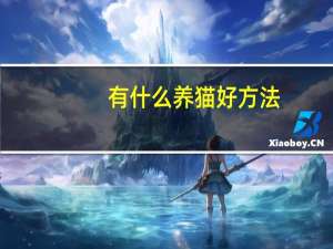 有什么养猫好方法