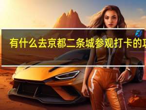 有什么去京都二条城参观打卡的攻略