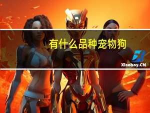 有什么品种宠物狗