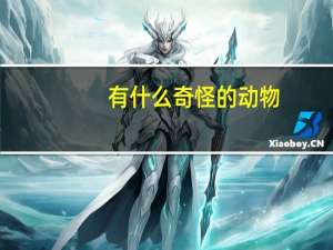 有什么奇怪的动物（奇怪的动物都有哪些）