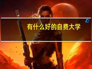 有什么好的自费大学