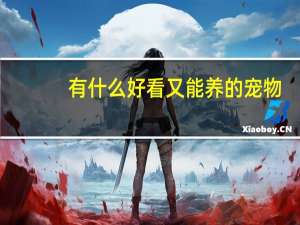 有什么好看又能养的宠物