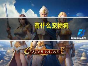 有什么宠物狗