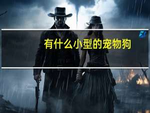 有什么小型的宠物狗