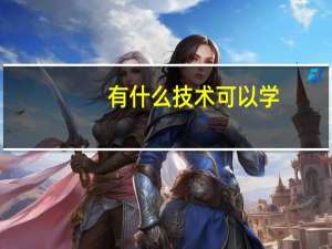 有什么技术可以学