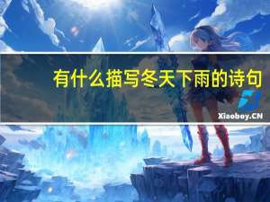 有什么描写冬天下雨的诗句
