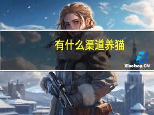 有什么渠道养猫