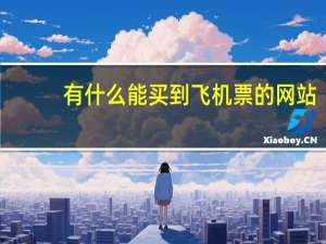 有什么能买到飞机票的网站