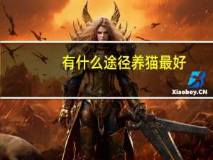 有什么途径养猫最好