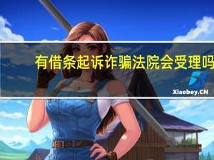 有借条起诉诈骗法院会受理吗