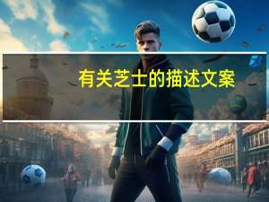 有关芝士的描述文案