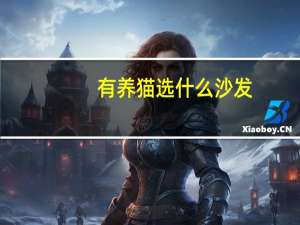 有养猫选什么沙发