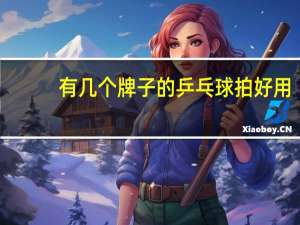 有几个牌子的乒乓球拍好用