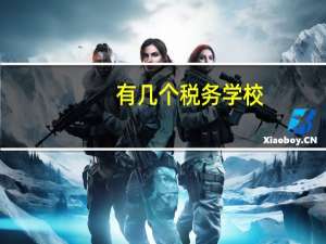 有几个税务学校