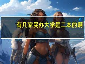 有几家民办大学是二本的啊