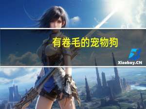 有卷毛的宠物狗