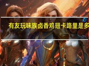 有友 玩味族卤香鸡翅卡路里是多少