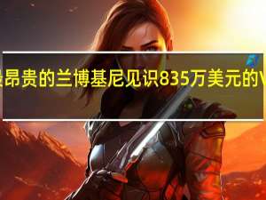 有史以来最昂贵的兰博基尼 见识835万美元的Veneno敞篷跑车