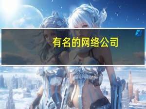 有名的网络公司（网络出名）